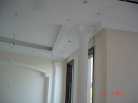 villa  (21)